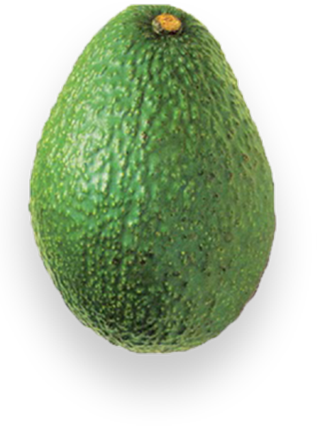 Bright green avocado