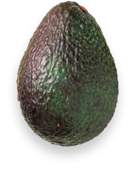 Brown green avocado