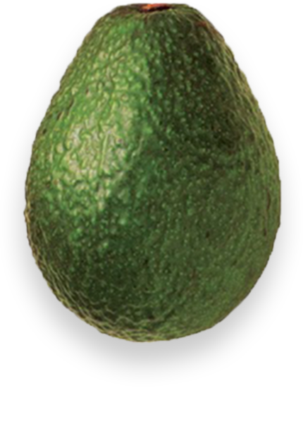 Olive green avocado